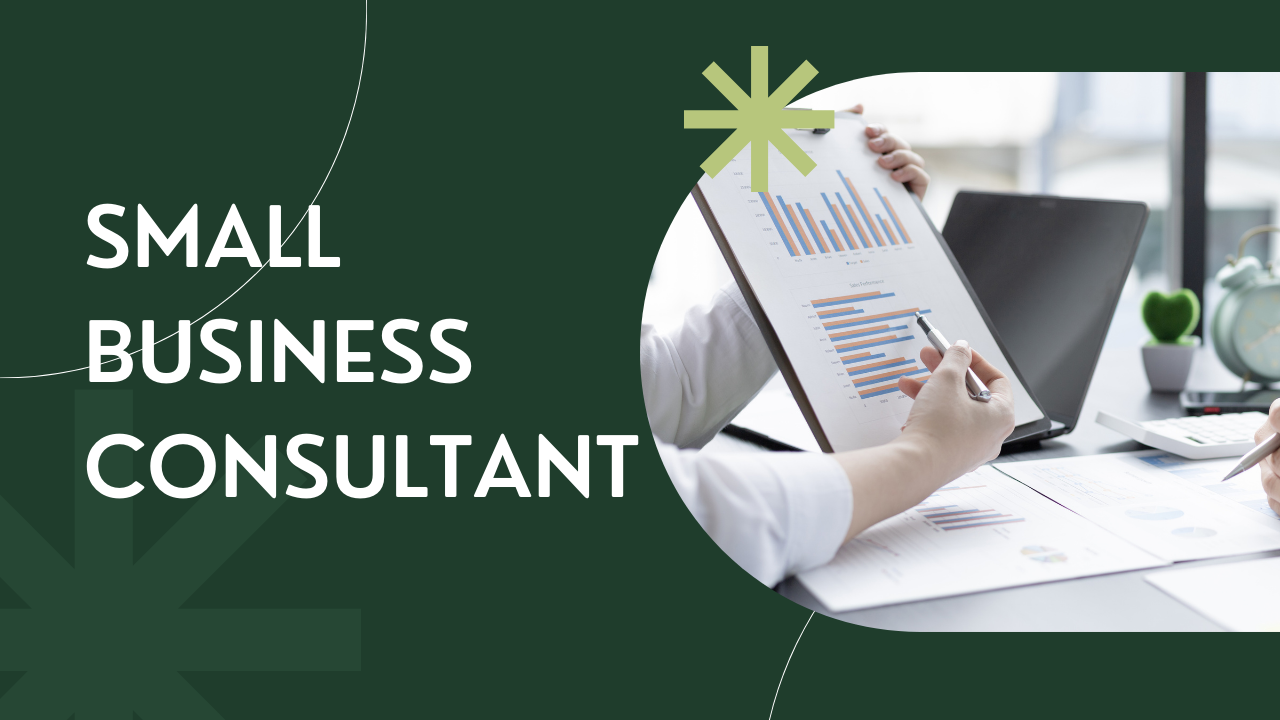 Small Business Consultant