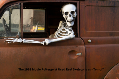 The 1982 Movie Poltergeist Used Real Skeletons as - Tymoff